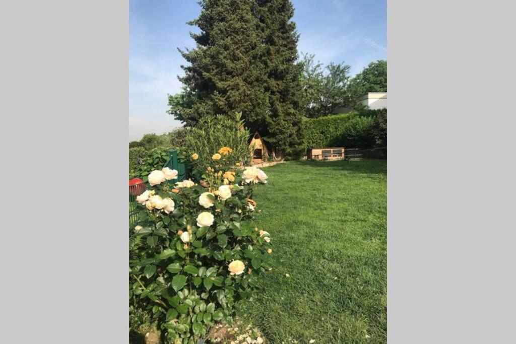 Appartement Region Esslingen - Naehe Messe - Flughafen - Stuttgart - Wohnen Und Arbeiten Auf Zeit In 120M2 Wohlfuehlatmosphaere - Ab 3 Uebernachtungen - Geeignet Fuer 4 Pers Incl Kinder - Beistellbett Moeglich - Kinder Und Tiere Willkommen - Garage F Altbach Εξωτερικό φωτογραφία
